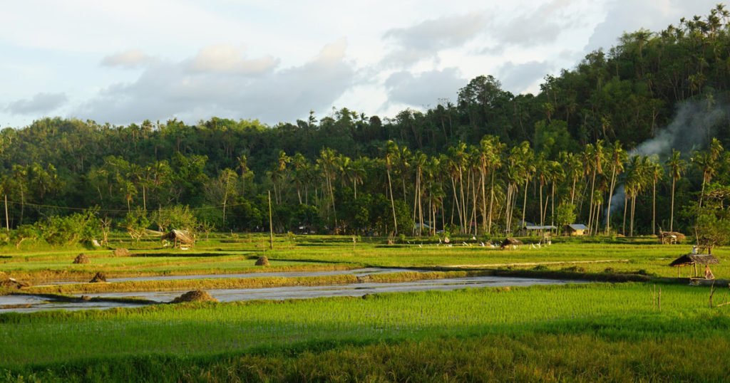 Agricultural Lands With Imperfect Titles Remedied By New Law