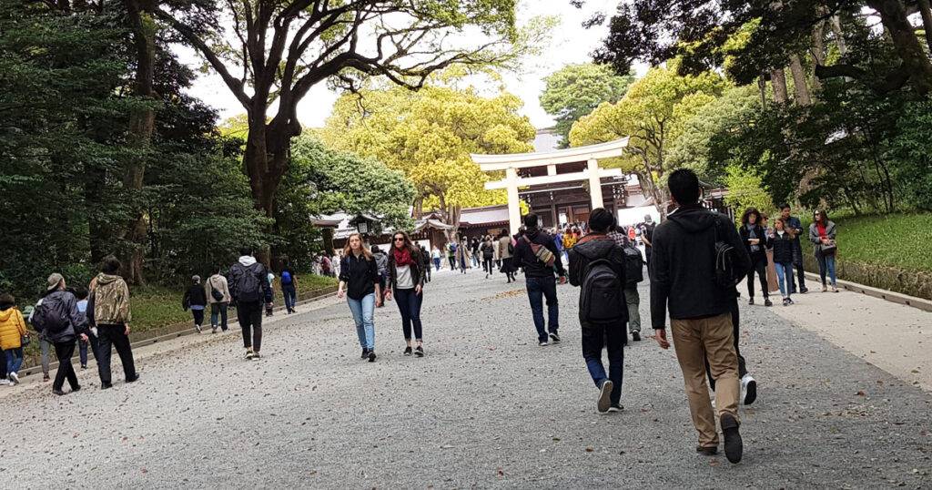 The Symbiotic Relationship Between Culture And Park Design