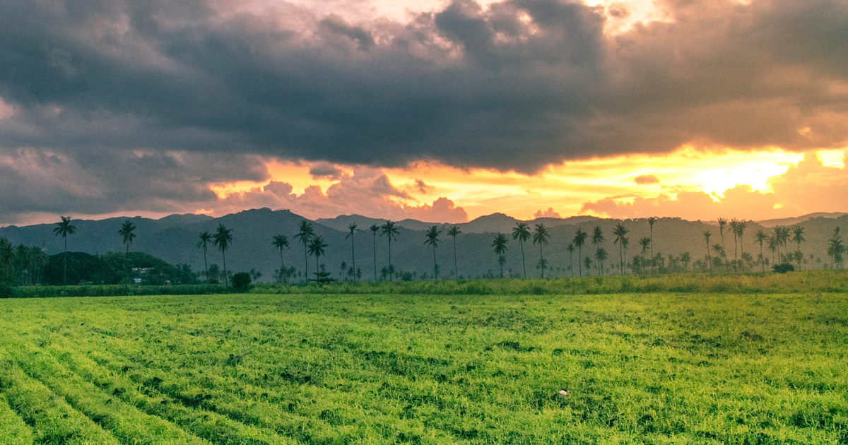 Philippine Land Use Conversion From Agriculture To Real Estate by Ian Fulgar, The Architect