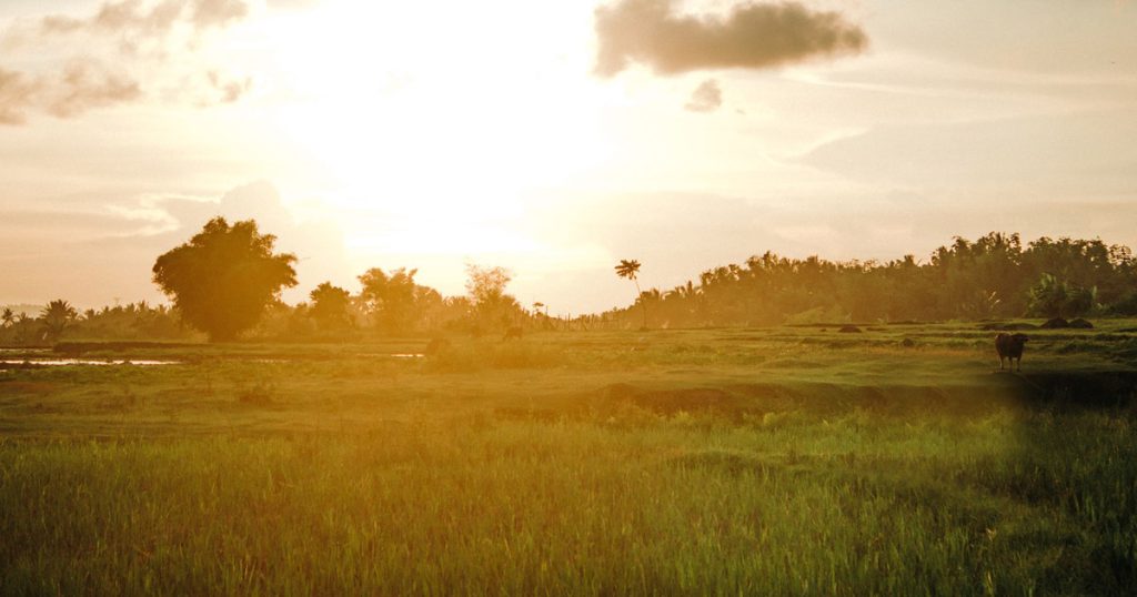 Indang: The Rough Diamond Of Cavite 