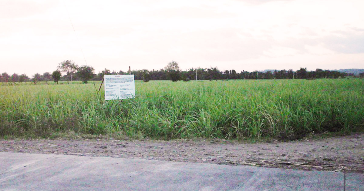Unlocking Agricultural Land Use Conversion In The Philippines by Ian Fulgar, The Architect