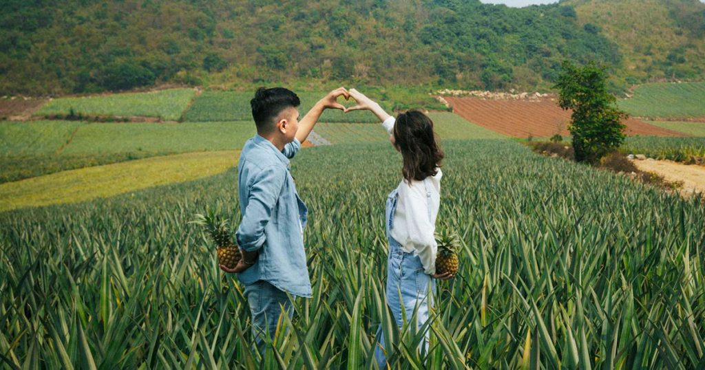Agricultural Tourism In The Philippines, Now The New Darling