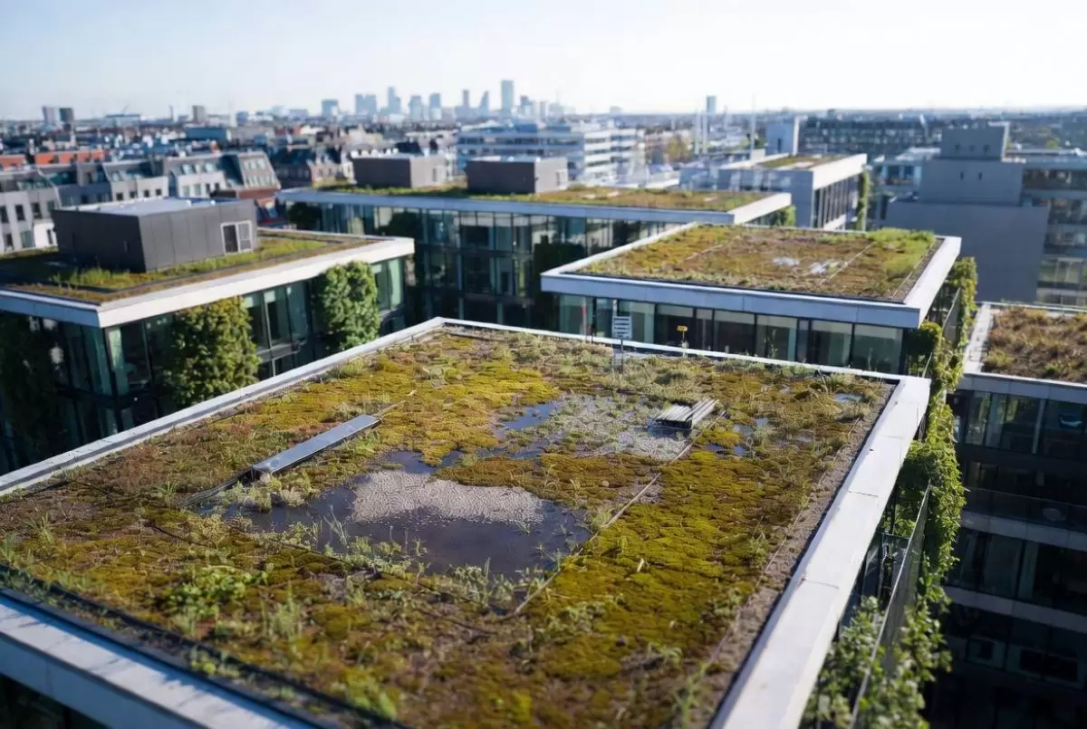 Aerial view of Copenhagen blue-green roofs with lush vegetation and rainwater retention, showing hidden architects of smart cities at work.